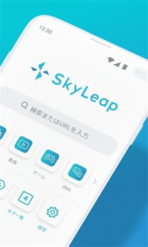 Skyleap浏览器截图3
