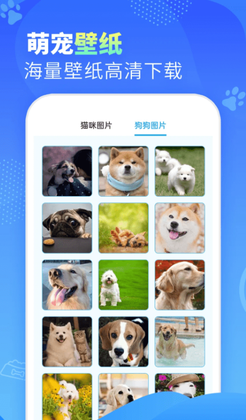 可爱萌宠翻译官截图2