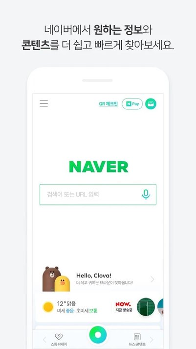 Naver搜索截图2