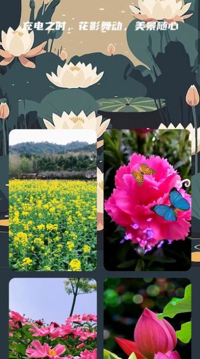 花影充电截图1