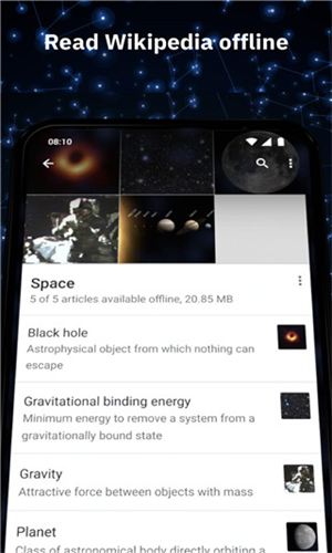 维基百科中文版截图4