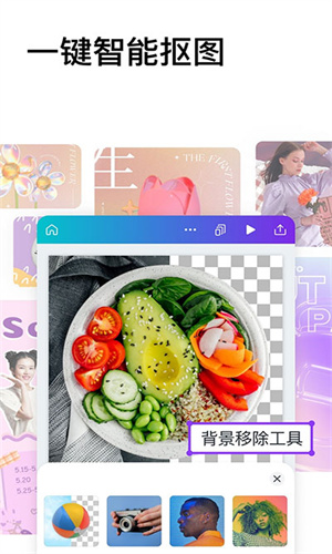 Canva可画手机版