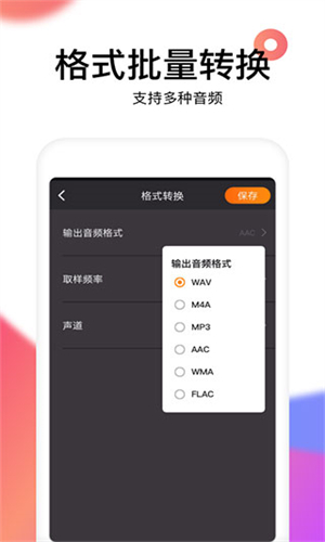 Reversevoice截图5