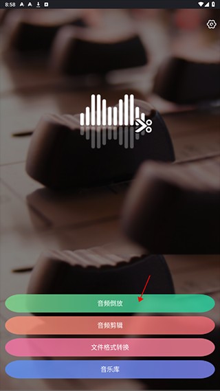Reversevoice