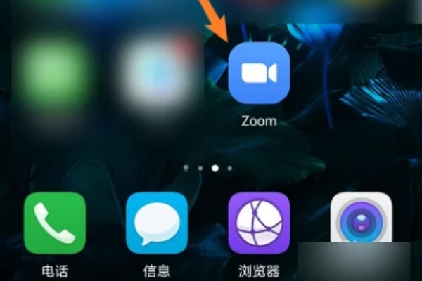 Zoom会议