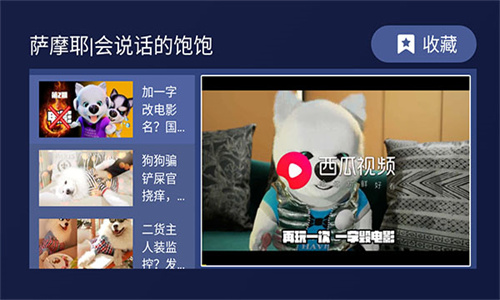 欢视助手电视版截图1