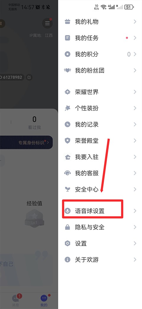 欢游TT语音
