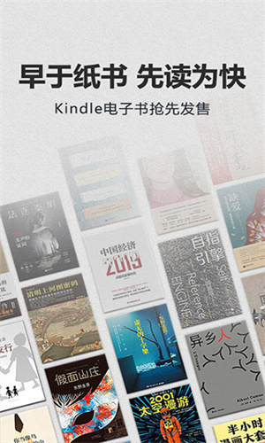 Kindle电子书截图2