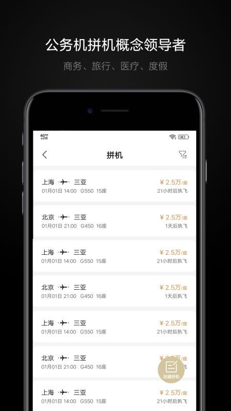 铂雅飞行截图2