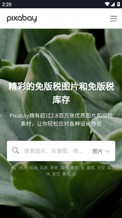 Pixabay截图4