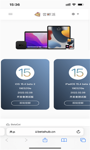 iPhone尝鲜派截图3