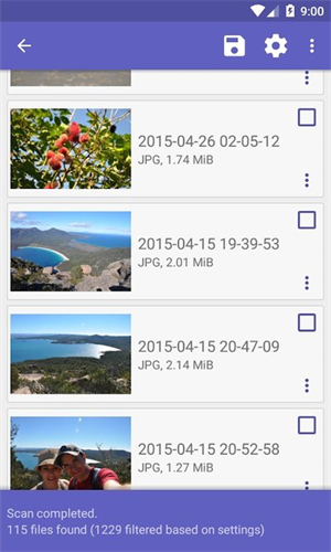 Diskdigger Pro安卓版截图2