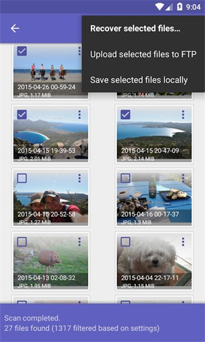Diskdigger Pro安卓版截图3