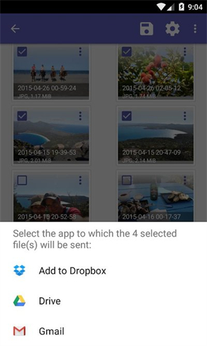 Diskdigger Pro安卓版截图1