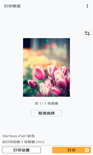 佳能打印机截图2