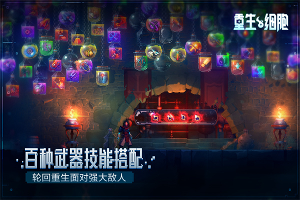 重生细胞截图4