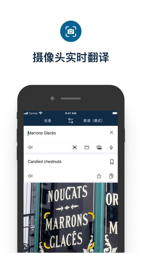 DeepL翻译器安卓版截图2