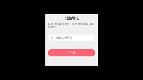 战双帕弥什小米服