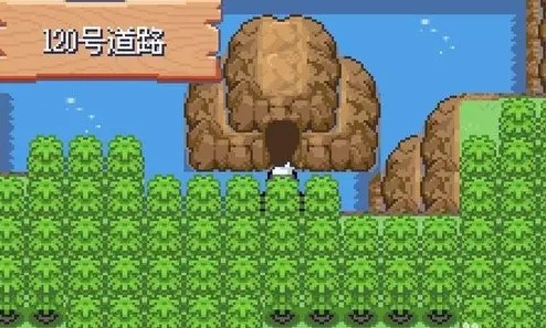 口袋妖怪漆黑的魅影6.0