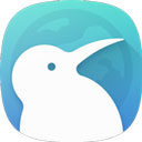 Kiwi浏览器中文版