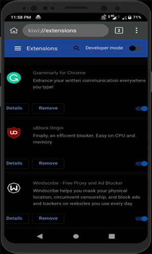 Kiwi浏览器中文版截图1