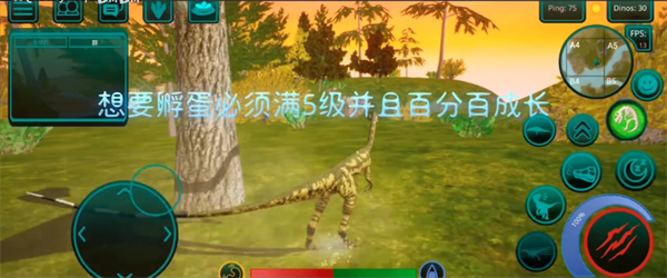 诅咒之岛最新版