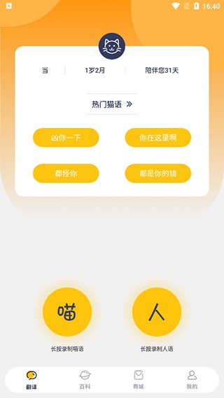 猫咪对话翻译器