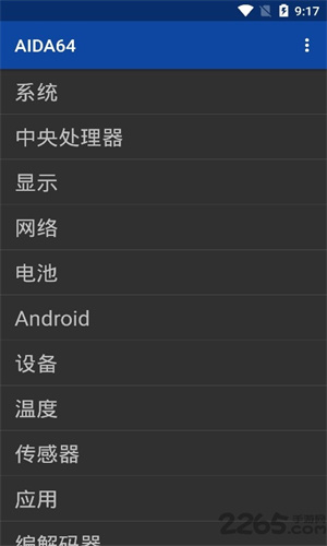 Aida64中文版截图1