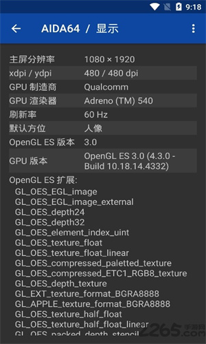 Aida64中文版截图3