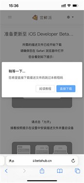iPhone尝鲜派