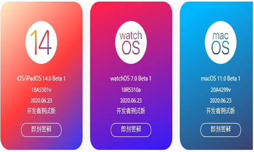 iPhone尝鲜派