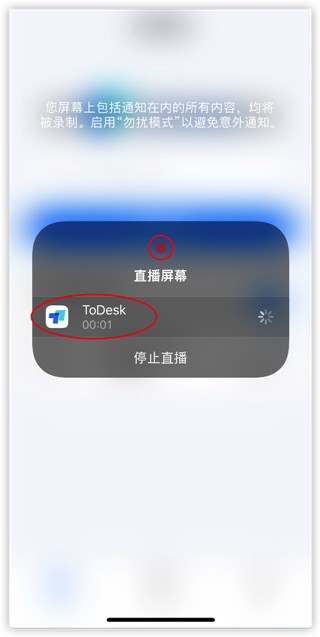 ToDesk