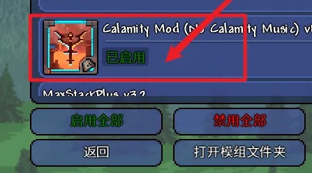 泰拉瑞亚灾厄