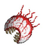 泰拉瑞亚1.4.4.9一只皮皮蛙汉化版