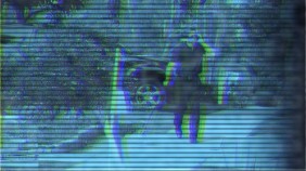 Payday2