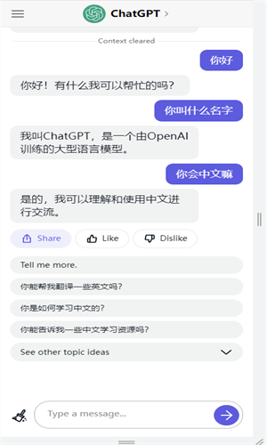 ChatGPT安卓最新版截图2
