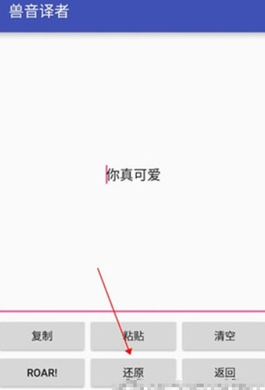 兽音译者解密