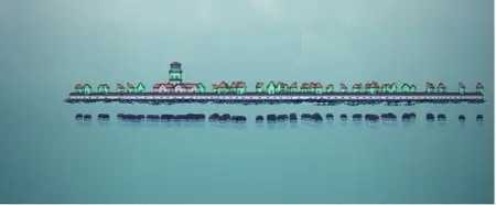 Townscaper