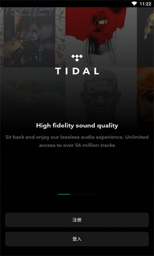 Tidal截图3
