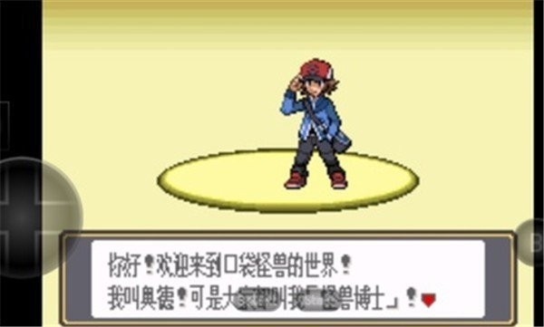 口袋妖怪黑白中文版