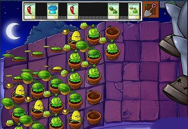 植物大战僵尸2010中文版截图3