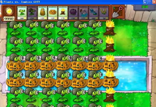 植物大战僵尸2010中文版