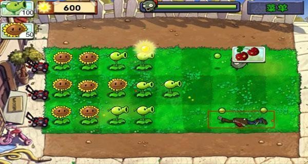 植物大战僵尸2010中文版