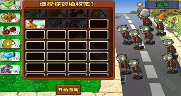 植物大战僵尸2010中文版