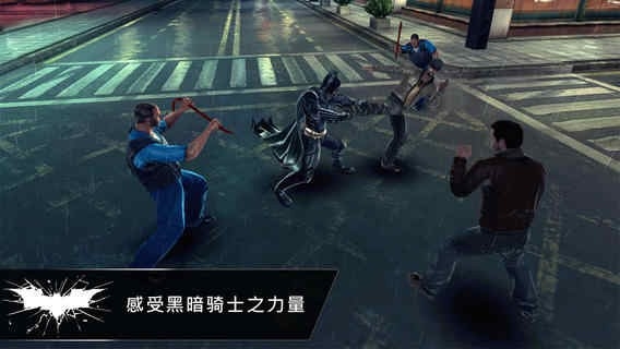 蝙蝠侠黑暗骑士截图2
