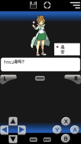 口袋妖怪黑白2