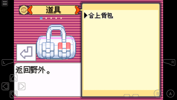 口袋妖怪究极绿宝石5.5