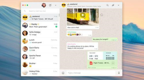 WhatsAppbusiness安卓版