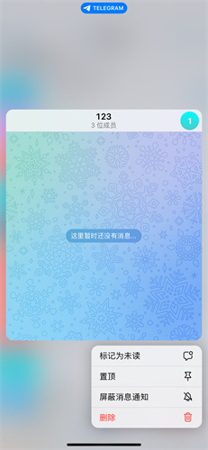 纸飞机国际版