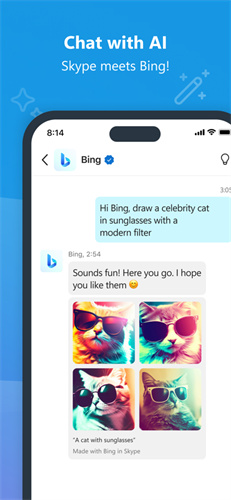 Skype安卓最新版截图3